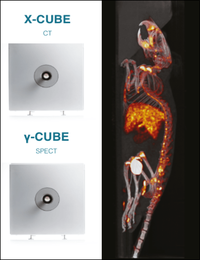 BET Solutions is glad to announce the purchase of MOLECUBES compact SPECT/CT whole-body rat and mouse benchtop imagers.