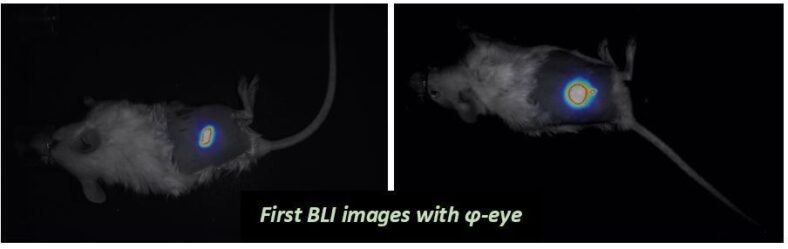 BIOEMTECH presents the first bioluminescence images of φ-<em>eye</em>!!