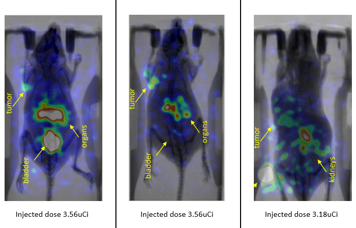 Novel, desktop imaging tools for mouse screening in-vivo: BIOEMTECH’s γ- eye