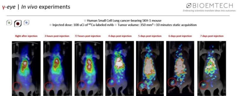 First images of γ-eye showing Cu-67 antibody imaging on a lung oncology model