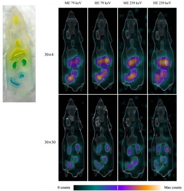 A nice new paper from Monika Kvassheim and Oslo University Hospital showing how BIOEMTECH fillable mouse phantom can be used for Imaging of 212Pb in mice with a clinical SPECT/CT camera.