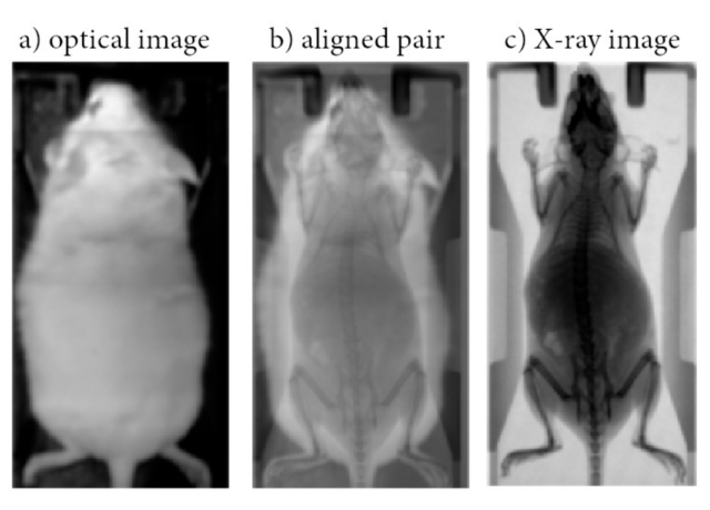 Optical to X-ray