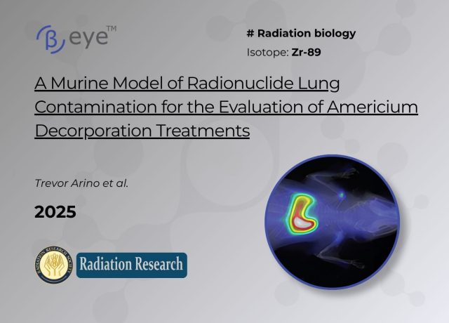 A murine model of radionuclide lung contamination