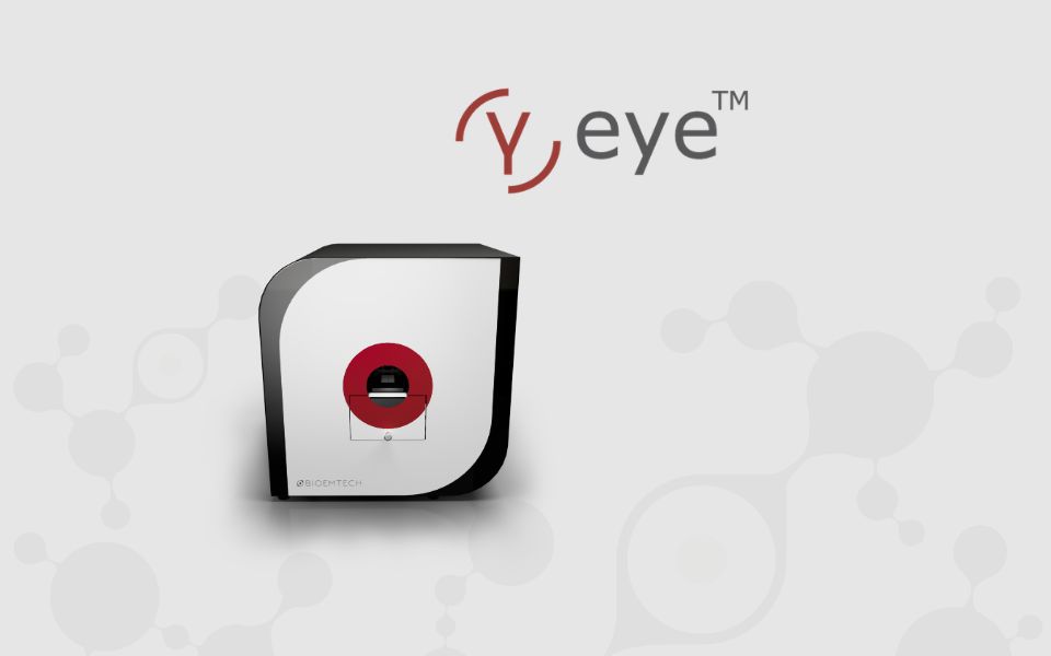 γ-eye front page